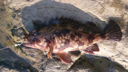 釣りを許された時間で
