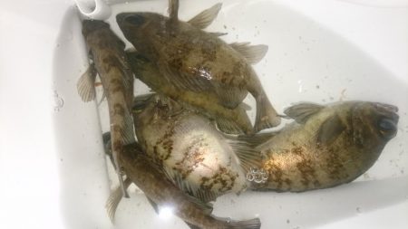 そろそろ春本番