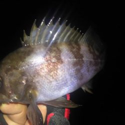 暴風雨のちメバリング