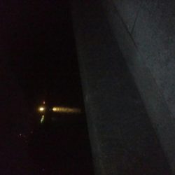 シーバス＆メバーリング