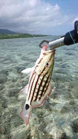 西表島リーフエンド