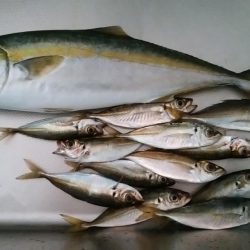 諦めかけたその時に。。。