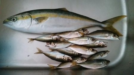 諦めかけたその時に。。。