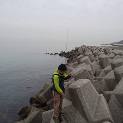 渋いながらもメバルゲット