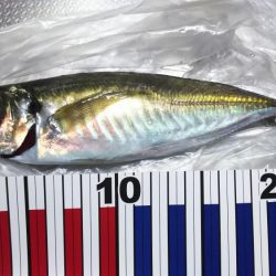 え！もう終わりなの。