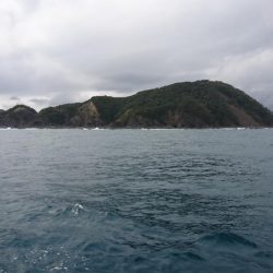 徳島県南タイラバ