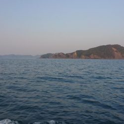 徳島県南タイラバ&ライトジギング