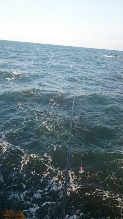 磯フカセ釣り。