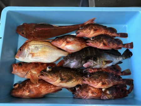 香住 お宿 旬香 8時から10時 2時間で…