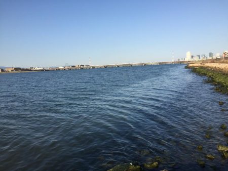 今年初のリバーシーバスゲット！