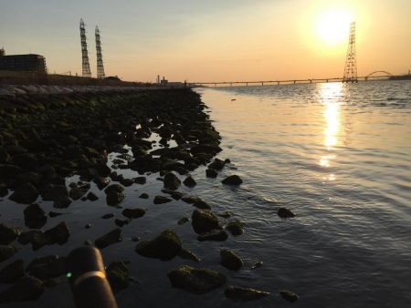 ボラ祭り後にやっとチヌ！