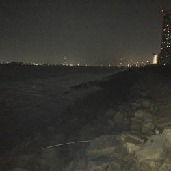 バリッド55でキビレ2枚