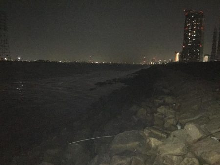 バリッド55でキビレ2枚