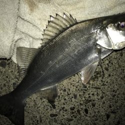 サイズダウン(//∇//)