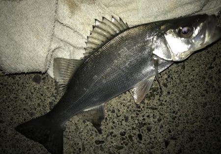 サイズダウン(//∇//)