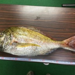 自己ベストです。