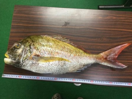 自己ベストです。