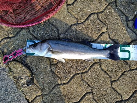 初めてのマルチ安打♪
