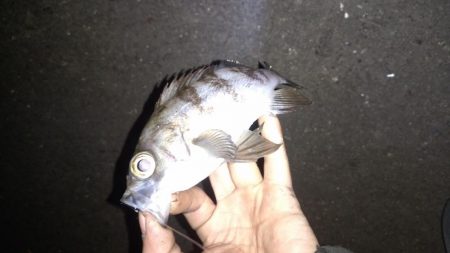 メバリングランガン