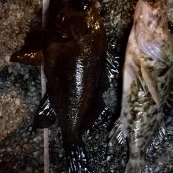 冬のような寒さ