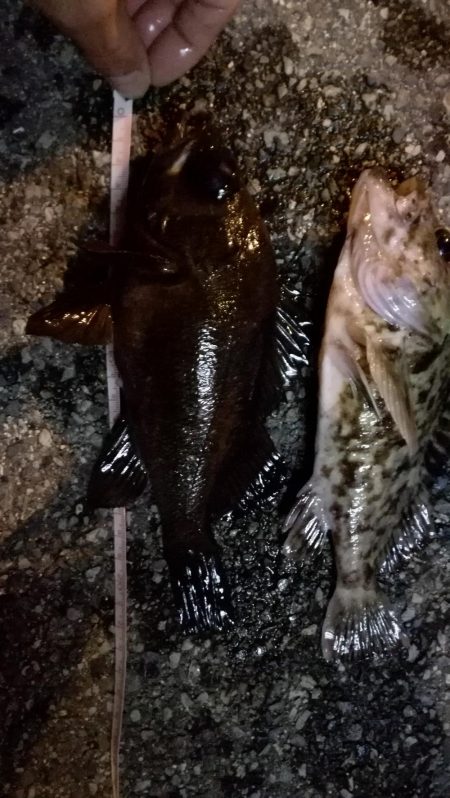 冬のような寒さ