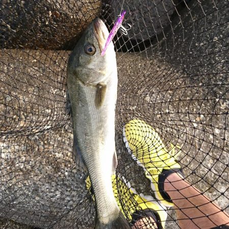 よくなってきました。