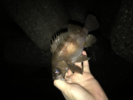 時合にハメて♪