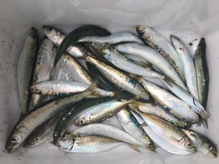 荒天の前に。。。