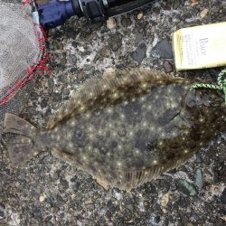 荒れた後はチャンスかと