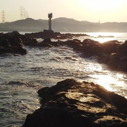 こんなん出ました・・・pt5