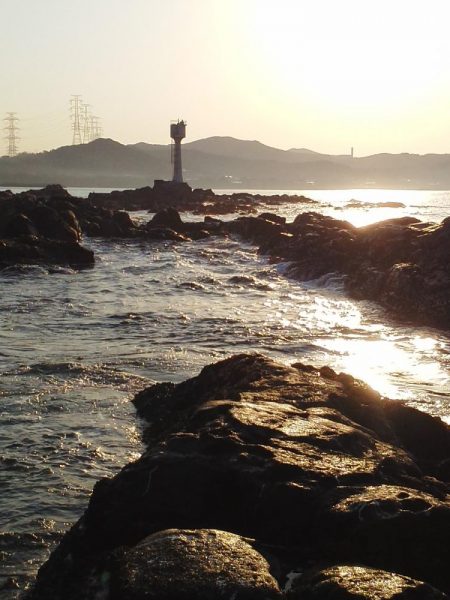 こんなん出ました・・・pt5