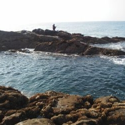 久し振りのグレ・・・