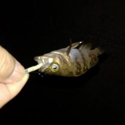 ４月になりました