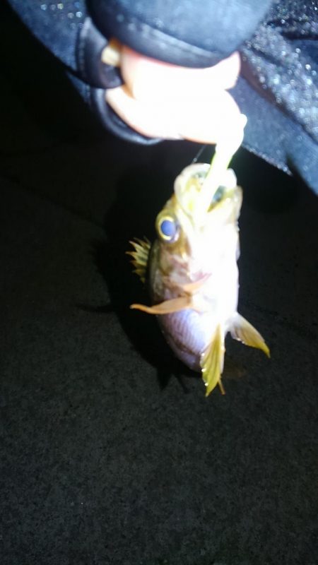 春一番後の釣行