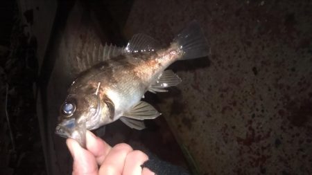 仕事おわりのショートゲーム