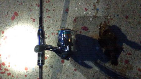 江井ヶ島リベンジ(・ε・｀ )