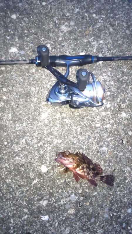 くろねこさんとライトゲーム in 林崎漁港…