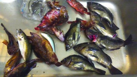 宇和島遠征　最終日