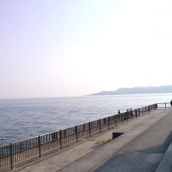 子供とお散歩釣行