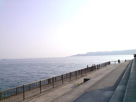 子供とお散歩釣行