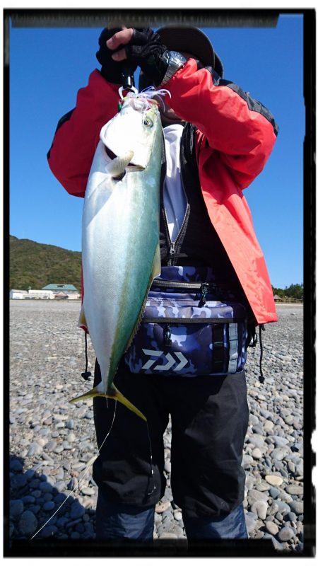 メジロ、サワラ、ヒラメ、絶好調