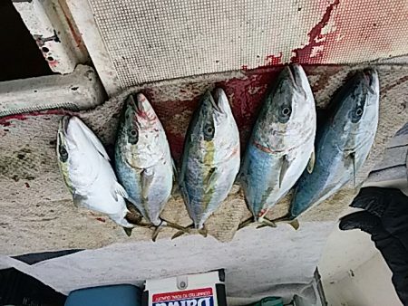 大物釣果速報●光義丸：平戸市早福港