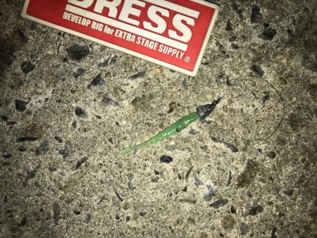 大阪北港ライトゲーム