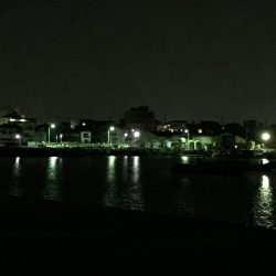 根魚は裏切らない！