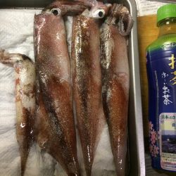 ようやく複数釣果