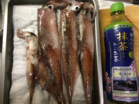 ようやく複数釣果