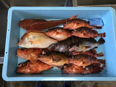 香住 お宿 旬香 8時から10時 2時間での釣果