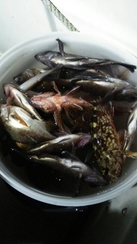 ボートメバリング