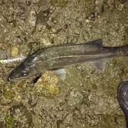 春一番、その後に！