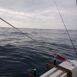 尾鷲ジギング＆キャスティング